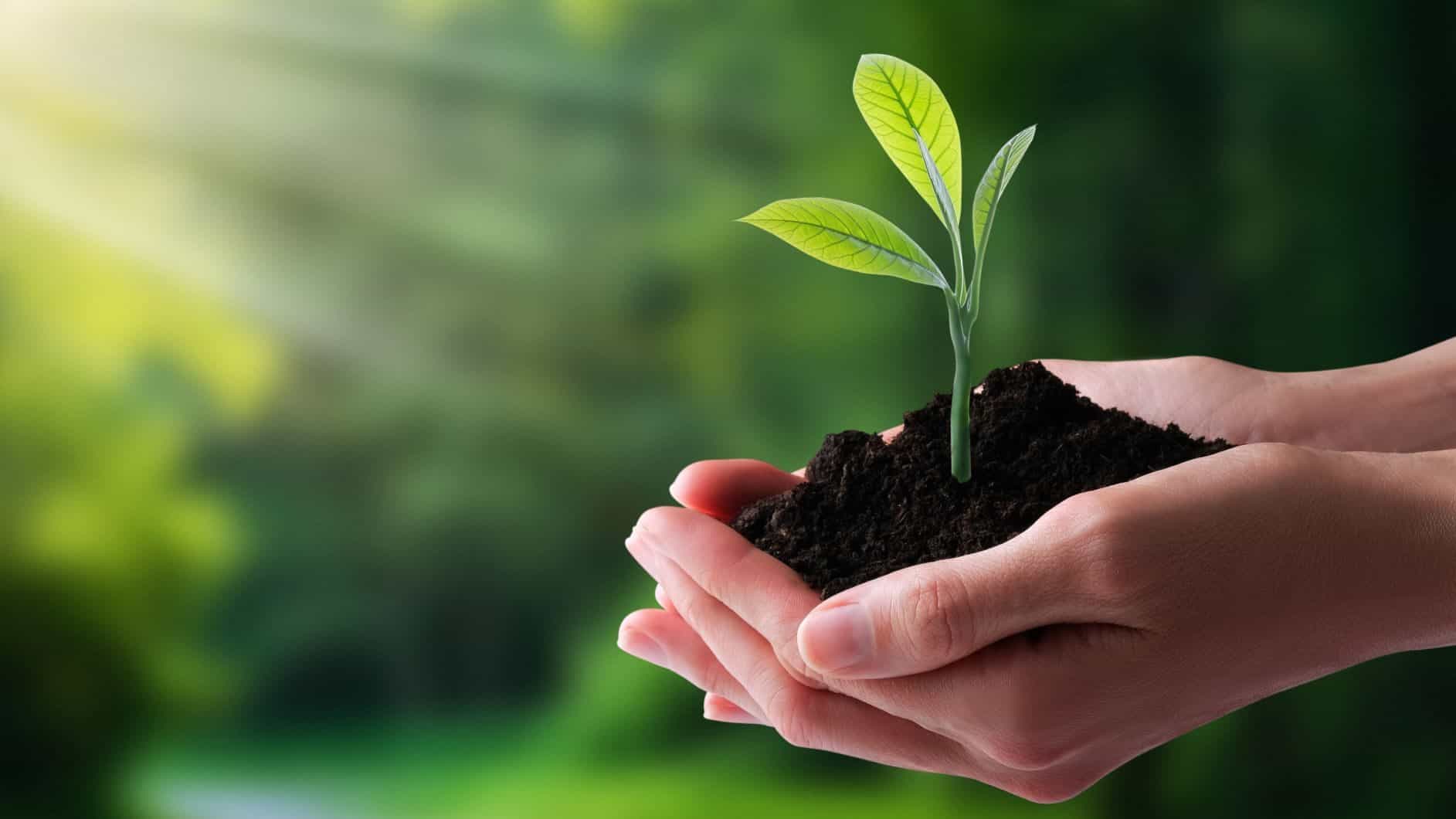 A vibrant green Earth surrounded by hands of diverse individuals, symbolizing unity and care for the planet on Earth Day.