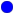 Royal
